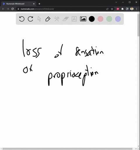 hi-please-solve-this-question-damage-to-which-of-the-following-would-be-expected-to-produce-partial-or-complete-loss-of-the-sensation-of-movement-position-and-equilibrium-a-hair-cells-in-the-50447
