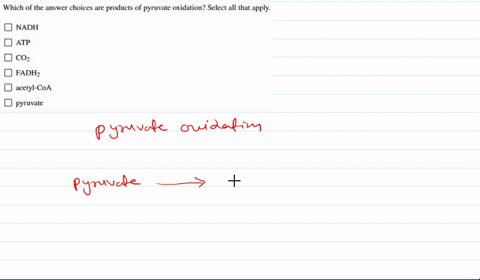 which-of-the-answer-choices-are-products-of-pyruvate-oxidation-select-all-that-apply-nadh-atp-coz-fadh2-acetyl-coa-pyruvate-44271