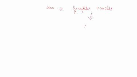 part-a-what-ion-triggers-synaptic-vesicles-to-release-neurotransmitters-into-the-synaptic-cleft-magnesium-chlorine-calcium-sodium-submit-request-answer-previous-ignmentproblemid-200-11537