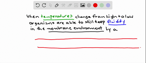 how-would-an-organism-maintain-membrane-fluidity-in-an-environment-where-temperatures-fluctuated-from-very-high-to-very-low-a-greater-proportion-of-unsaturated-phospholipids-in-membranes-b-greater-p-2