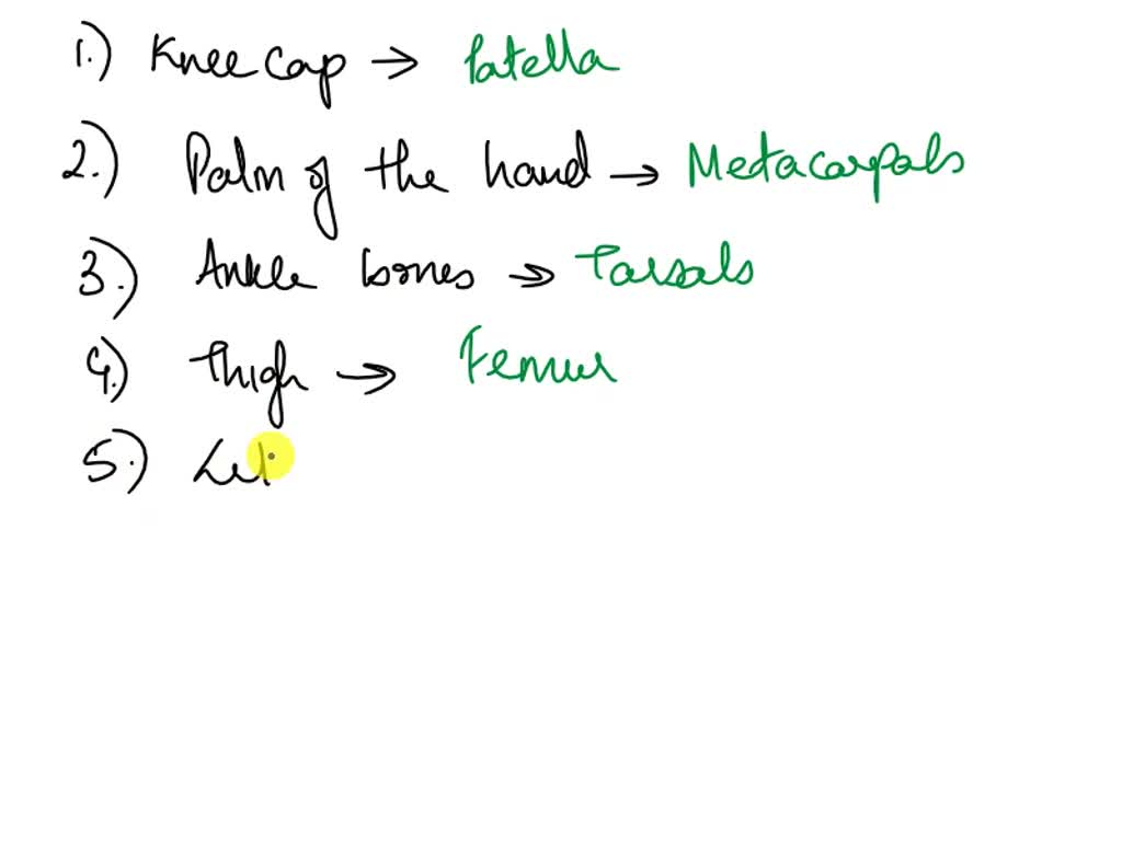 SOLVED Match the bone names with the correct description or location