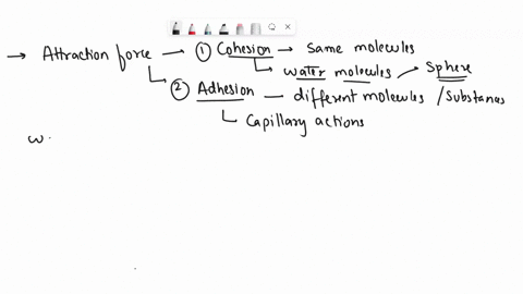 what-is-the-difference-between-adhesion-and-cohesion-how-does-cohesion-contribute-to-surface-tension-what-are-some-ways-that-cohesion-and-adhesion-can-affect-living-organism-78666