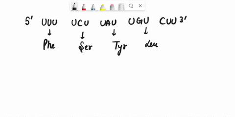 use-the-codon-table-below-what-is-the-sequence-of-a-peptide-based-on-the-following-mrna-sequence-5-uuu-ucu-uau-ugu-cuu3-second-base-uuu-uuc-ucu-ucc-uau-ugu-ugc-pho-tyr-cys-uac-ser-uua-uca-uc-11325