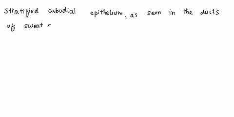 moving-to-another-question-will-save-hls-te-pons-question-22-in-which-of-the-following-sheet-like-epithelia-do-all-cells-touch-the-basement-membrane-but-not-al-cells-reach-border-tne-umen-st-13585