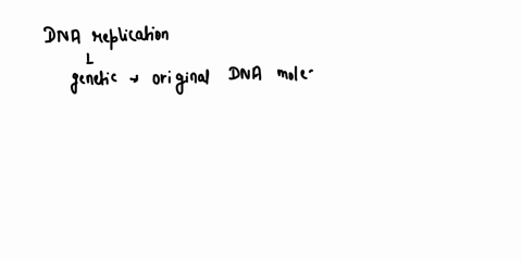 a-eukaryotic-cell-is-undergoing-dna-replication-in-which-region-of-the-cell-would-most-of-the-genetic-information-be-contained-74414