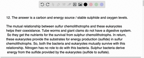 in-symbiotic-associations-between-sulfur-chemolithotrophs-and-eukaryotes-such-as-tube-worms-and-giant-clams-the-bacterial-symbiont-provides-while-the-host-provides-nitrogen-carbon-and-oxygcn-88372