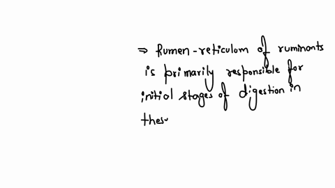 which-of-the-following-are-functions-attributed-to-rumen-reticulum-of-ruminants-based-on-our-video-lecture-buffering-acidic-bolus-enzymatic-digestion-emulsification-of-fats-for-absorption-absorption-o