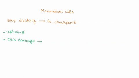 mammalian-cells-damaged-by-radiation-usually-stop-dividing-and-arrest-ata-g1-checkpoint-the-events-that-mediate-this-process-occur-in-the-following-order-a-dna-damage-production-of-p21-inhib-53023