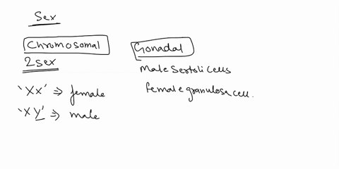 how-is-sex-expressed-at-the-chromosomal-gonadal-phenotypic-and-gender-identity-levels-68783