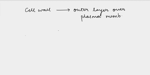which-of-the-following-have-a-cell-wall-a-animal-cells-b-protoplasts-c-mycoplasmas-d-fungi-e-l-forms-86283