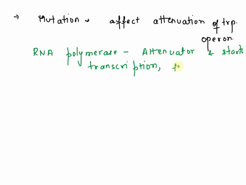 a-mutant-of-e-coli-is-isolated-that-has-a-defective-ribosomal-protein-such-that-translation-stalls-briefly-whenever-a-codon-for-tryptophan-is-encountered-irrespective-of-the-level-of-charged-16877