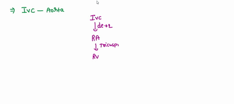 trace-the-flow-of-blood-through-from-the-inferior-vena-cava-all-the-way-to-the-aorta-be-sure-to-include-all-the-structures-61817