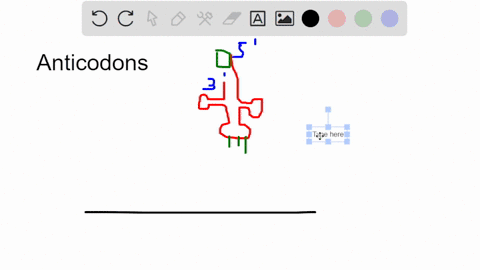 an-anticodon-region-of-trna-has-the-sequence-3-cua-5-what-amino-acid-does-this-trna-carry-gly-asp-leu-ala-glu-64558