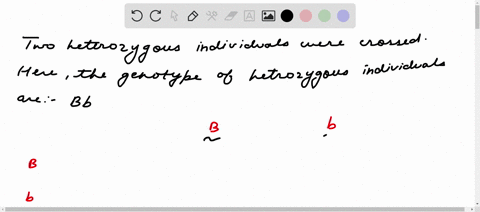 q9-alleles-b-and-b-are-co-dominant-two-heterozygous-individuals-were-crossed-what-would-be-the-expected-ratio-of-phenotypes-in-f1-generation2-a-11-b-31-c-121-d-1111-select-one-option-20877