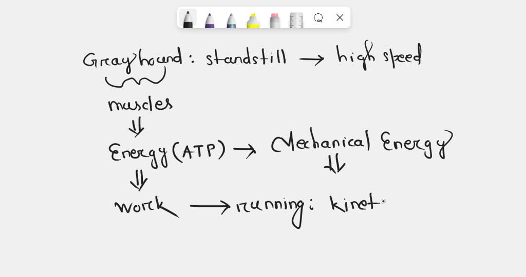SOLVED A greyhound can rapidly go from a standstill to a very speedy