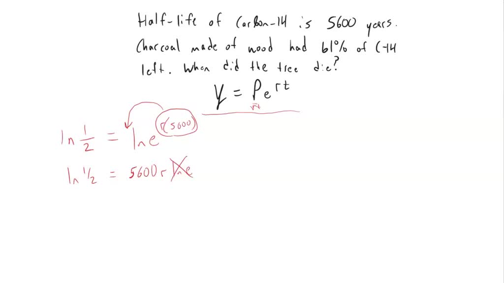 SOLVED The Half life Of Carbon 14 Is 5600 Years If A Piece Of solved-the-half-life-of-carbon-14-is-5600-years-if-a-piece-of