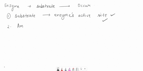 question-3-when-an-enzyme-binds-to-its-substrate-all-of-the-following-may-occur-select-all-that-are-correct-molecules-have-strained-molecular-structure-with-high-energy-the-substrate-binds-t-48432