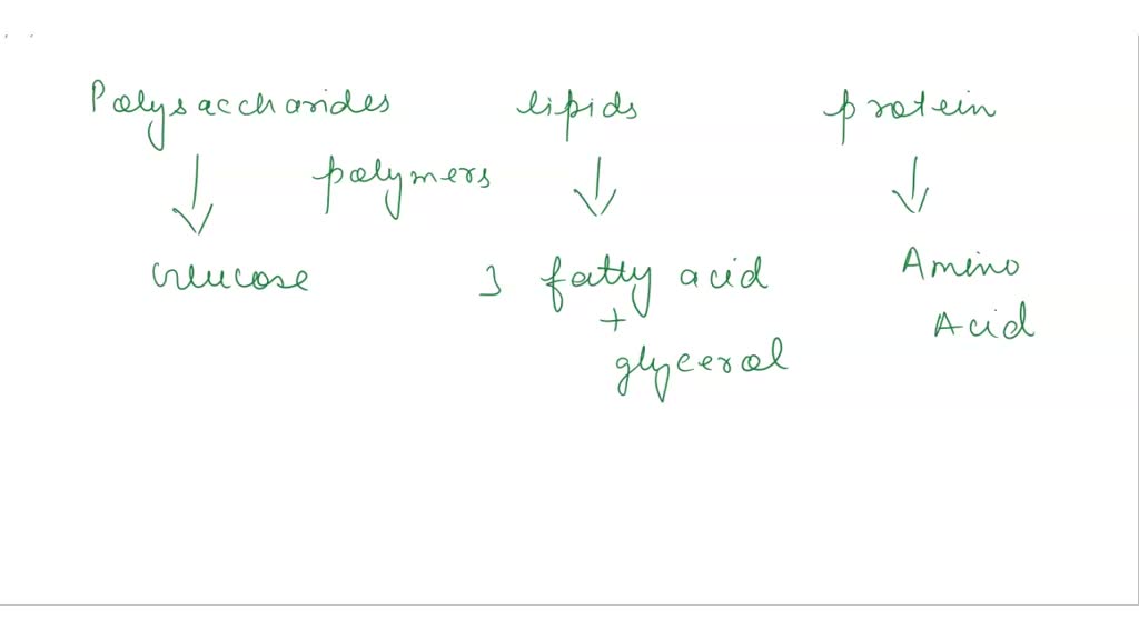 SOLVED 49) Polysaccharides, lipids, and proteins are similar in that