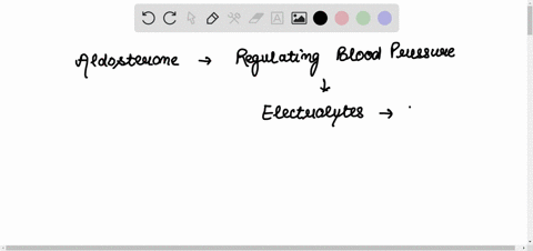 patient-50-years-old-complains-on-high-blood-pressure-polyuria-objective-examination-bood-pressure-180120-mmhg-no-changes-in-hemogram-and-urogram-the-volume-of-blood-plasma-6-from-weight-n-4-78072