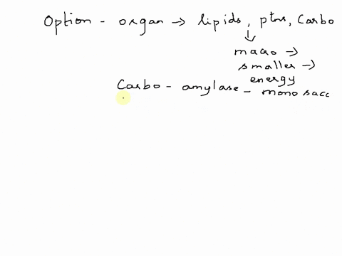which-organ-secretes-enzymes-that-break-down-carbohydrate-protein-and-lipid-liver-pancreas-gallbladder-33488