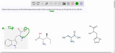 show-the-structures-of-the-following-amino-acids-in-their-zwitterionic-forms-a-trp-b-ile-c-cys-d-h-5-10527