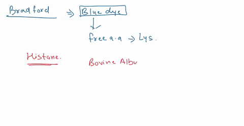 you-use-the-bradford-coomassie-assay-to-determine-the-concentration-of-a-histone-protein-you-use-bovine-albumin-as-your-standard-you-determine-the-histone-protein-concentration-to-be-3-mgml-67474