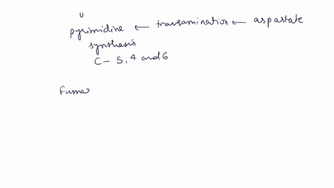 predict-the-location-of-14c-in-orotate-isolated-from-cells-grown-one-small-amount-of-uniformly-labeled14c-succinate-justify-your-prediction-13402