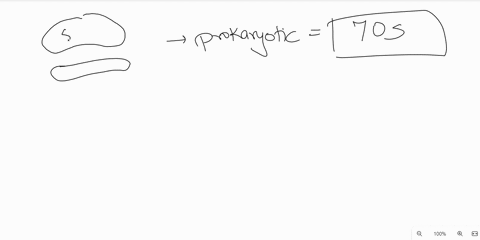 label-the-prokaryotic-and-eukaryotic-ribosomes-with-the-appropriate-subunits_-prokaryote-eukaryote-70s-60s-305-40s-80s-50s-reset-zoom-77184
