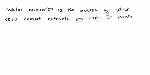can-someone-please-explain-cellular-respiration-44812