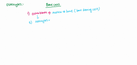 part-a-identify-the-tissues-where-you-would-find-osteocytes-hyaline-cartilage-and-elastic-cartilage-compact-bone-and-hyaline-cartilage-compact-bone-and-fibrocartilage-elastic-cartilage-and-s-45647