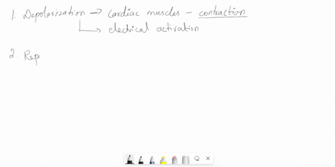 ihe-cardiac-conduction-systen-and-the-electrocardiosmm-ecglekg-deline-the-following-terms-depolarization-b-repolarization-svstole-diastole-label-each-structure-on-the-diagram-next-to-the-ima-37609