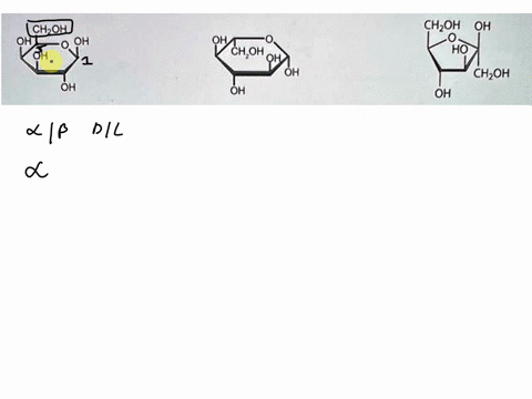 name-the-monosaccharides-in-the-images-by-placing-the-appropriate-terms-choh-oh-0-ho-choh-oh-oh-choh-oh-oh-oh-1alphabetablank1-dlblank2-galacto-pyranosefuranoseblank3-2alphabetablank-4-dlbla-53462