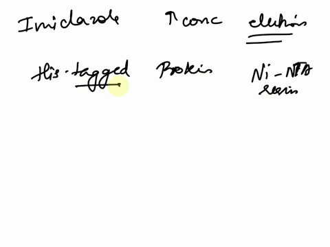 why-is-imidazole-present-at-a-high-concentration-for-the-elution-step-select-one-or-more-to-reduce-non-specific-binding-to-the-ni-nta-resin-to-wash-away-all-contaminating-proteins-so-the-his-14887