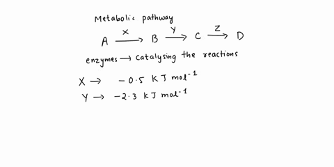 a-certain-metabolic-pathway-can-be-diagrammed-as-zxx-abcd-where-abcand-d-are-the-intermcdiatesand-xyand-z-are-the-enzymes-that-catalyze-the-reactionsthe-physiological-free-energy-changes-for-13348