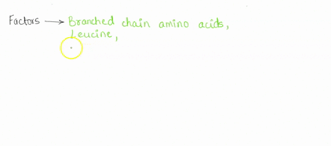 what-are-the-factors-that-affects-the-protein-synthesis-66583