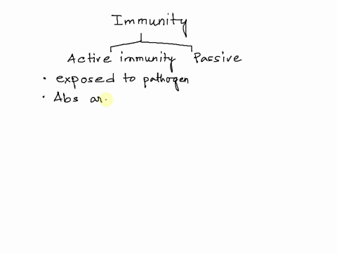 when-an-individuals-immune-system-responds-to-an-appropriate-antigenic-stimulus-during-the-course-of-daily-activities-this-is-called-multiple-choice-naturally-acquired-passive-immunity-natur-47485