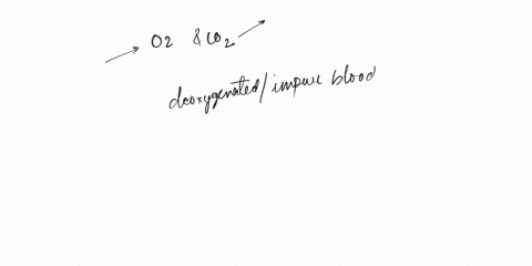 which-statement-correctly-describes-an-interaction-of-the-respiratory-and-circulatory-systems-a-carbon-dioxide-travels-from-the-heart-to-the-lungs-in-the-pulmonary-arteries-b-carbon-dioxide-15386