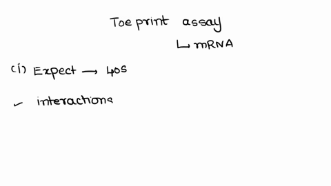 describe-a-toeprint-assay-involving-mammalian-ribosomal-subunits-and-an-mrnain-a-cell-free-extract-that-contains-all-the-factors-necessary-for-translation-a-what-results-would-you-expect-to-28741