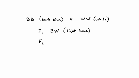 a-cross-between-two-true-breeding-lines-one-with-dark-blue-flowers-and-one-with-bright-white-flowers-produces-f1-offspring-that-are-light-blue-a-shade-between-dark-blue-and-bright-white-when-the-f1-pr