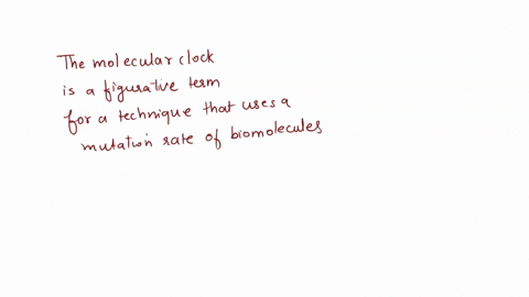 how-does-the-molecular-clock-worka-it-analyzes-the-brain-functionality-of-two-different-speciesb-it-examines-and-compares-the-physical-characteristics-of-two-different-speciesc-it-illustrate-92006