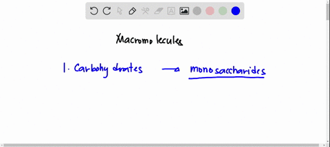 proteins-are-polymers-of-______-a-amino-acids-b-fatty-acids-c-nucleic-acids-d-monosaccharides-01773