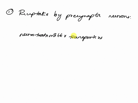 describe-the-process-of-the-removal-of-neurotransmitters-from-the-synapse-00179