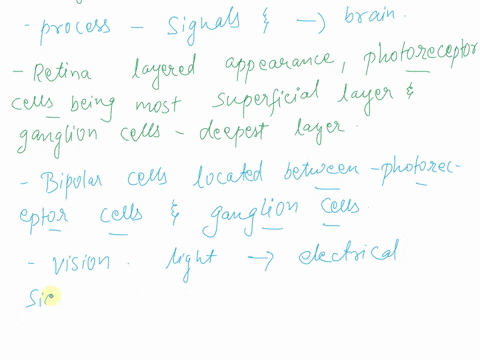 1-please-describe-the-appearance-of-the-retina-and-list-its-function-2-please-research-information-on-the-tapetum-lucidum-what-importance-does-the-tapetum-lucidum-have-in-mammals-other-than-80954