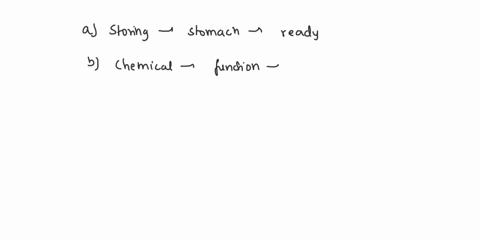which-of-the-following-is-not-a-function-of-the-stomach-a-storing-food-b-chemical-digestion-c-physical-digestion-d-secretion-of-bile-69815