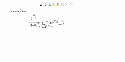 1-during-translation-the-trna-molecule-carrying-the-correct-amino-acid-corresponding-to-its-anticodon-sequence-must-base-pair-bind-with-the-codon-of-the-mrna-what-would-happen-in-the-case-wh-95325