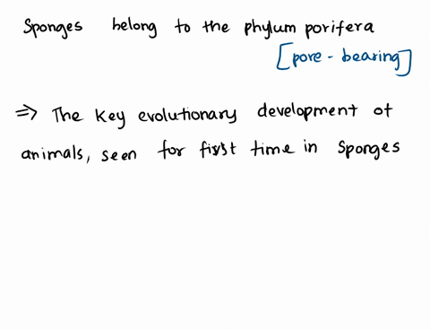 the-key-evolutionary-development-of-animals-seen-for-the-first-time-in-sponges-is-that-of-46718