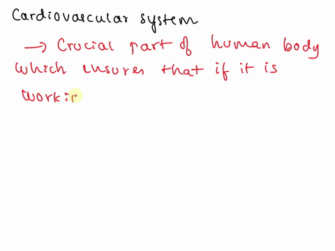 true-or-false-the-cardiovascular-system-includes-the-heart-and-blood-vessels-51912