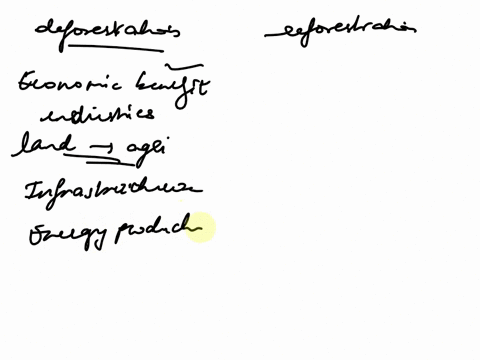 list-detailed-reasons-why-deforestation-is-important-how-will-our-world-look-with-the-failure-to-promote-reforestation-and-who-would-be-impacted-the-most-07492