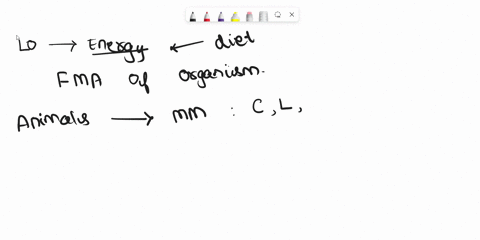 different-macro-molecules-have-varying-amounts-of-energy-density-which-of-the-following-is-the-least-81404