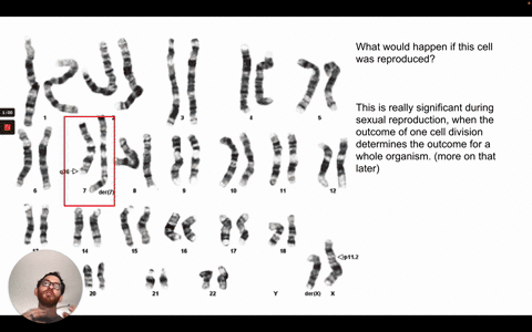 please-explain-the-reasoning-behind-your-answer-down-syndrome-can-be-the-result-of-a-1421-robertsonian-translocation-given-that-monosomy-for-chromosome-21-is-lethal-as-well-as-monosomy-and-t-63938